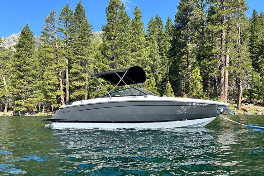 A motorboat named 'Cobalt' on a lake surrounded by dense forest. 1