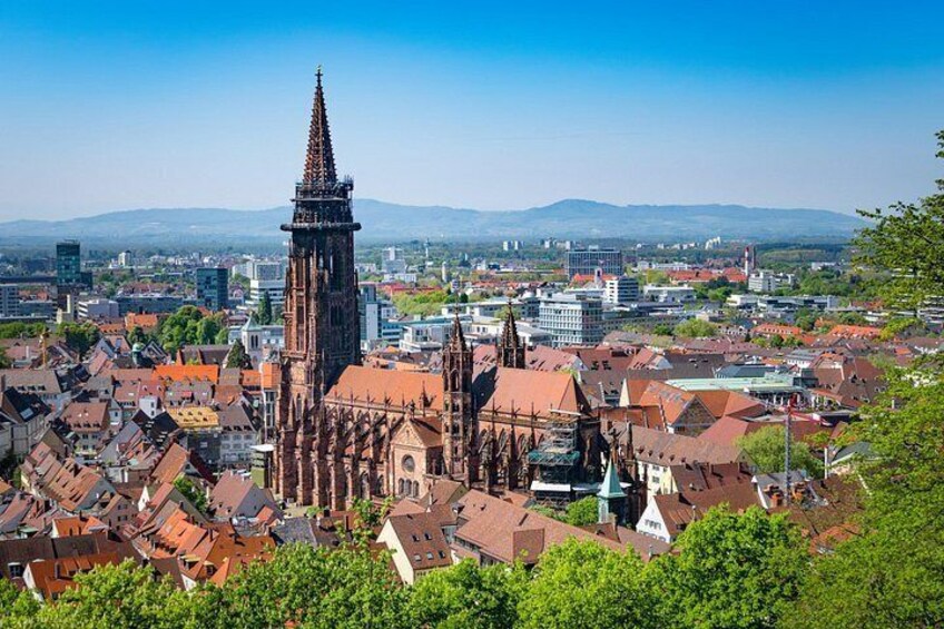 Best Intro to Freiburg in 2 hours with a Local 2