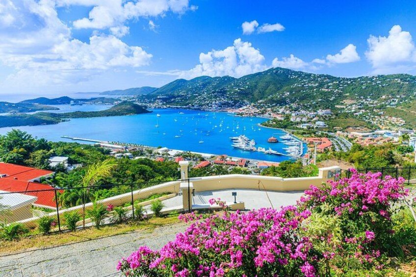 Een kustplaatsje met een jachthaven, bergen op de achtergrond en roze bloemen in de voorgrond. 1