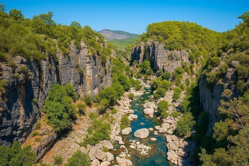 Un fiume che scorre attraverso un canyon con ripidi dirupi rocciosi e vegetazione lussureggiante. 5