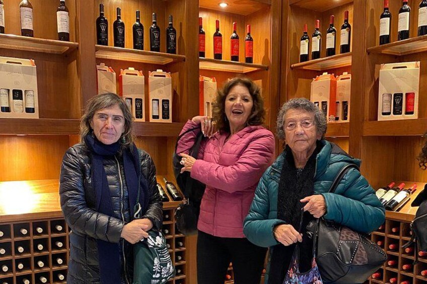 Cousiño Macul Vineyard and Bahai Temple Cultural Tour with Wine 2