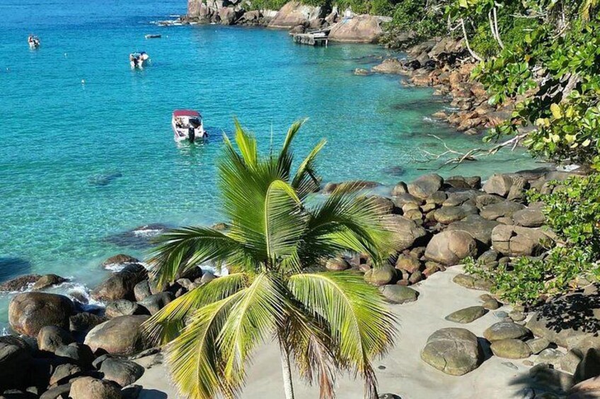 Ein Strand mit klarem türkisblauem Wasser, einer Palme und Felsen. 4