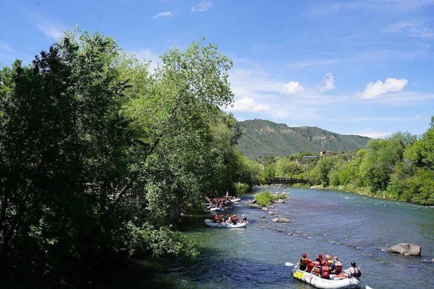 Durango 3/4 Day Rafting Trip with Lunch - Lower Animas River 3