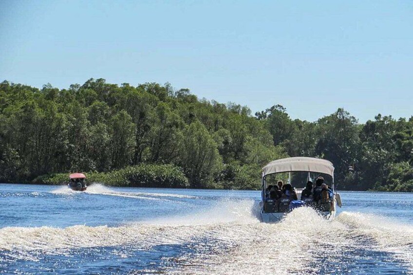 A boat with passengers moving through a body of water, surrounded by dense greenery. 2