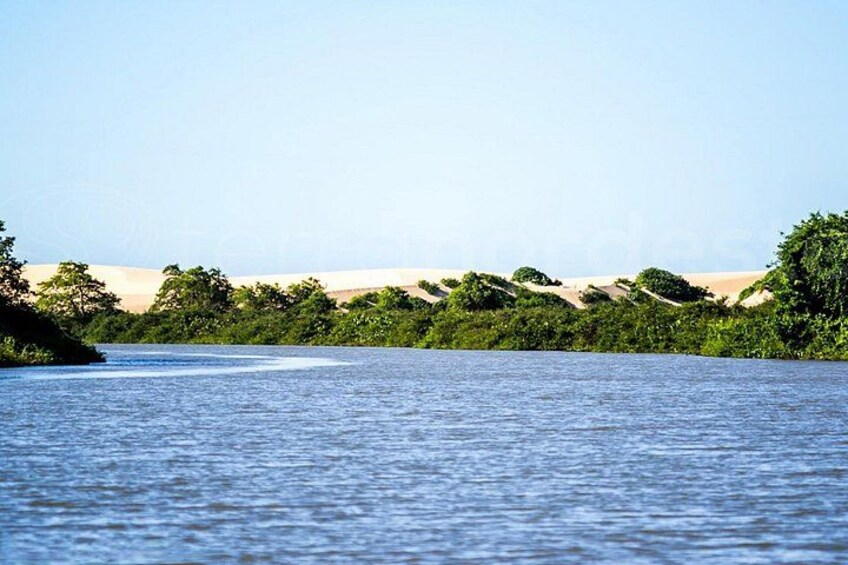 A river with a sandy beach and dense greenery. 1