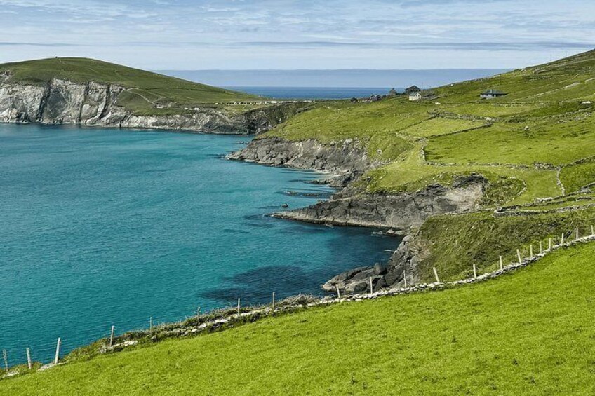 Private Dingle & Slea Head Luxury Tour with No 1 Local Guide 2