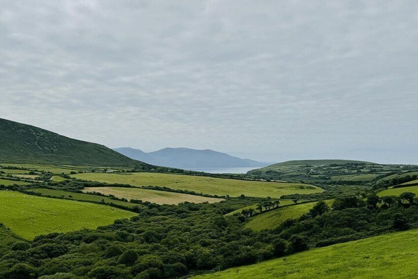 Private Dingle & Slea Head Luxury Tour with No 1 Local Guide 1