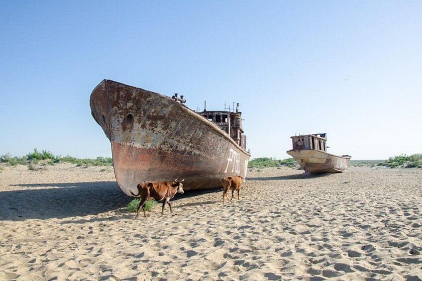 Vanishing Sea and the Forgotten Cities 1