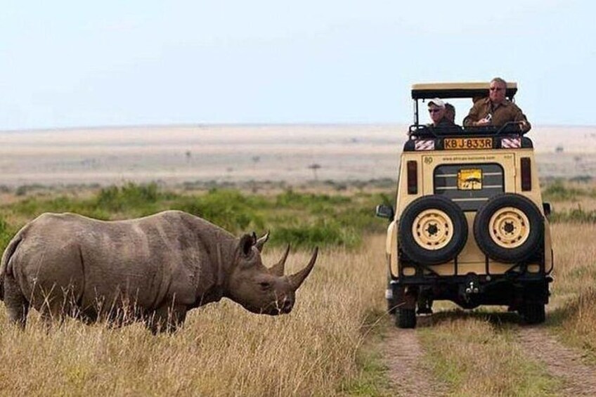 A rhinoceros walking on a dirt path with a safari vehicle in the background. 3