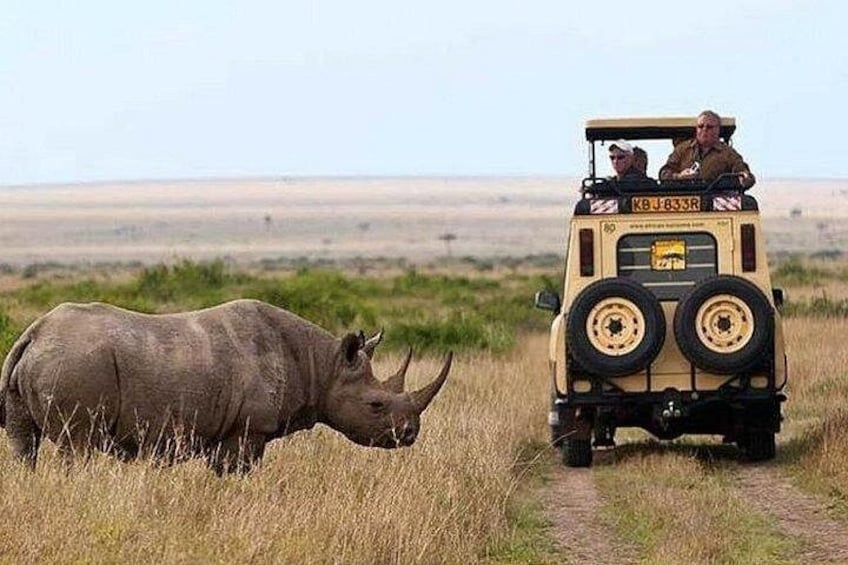 A rhinoceros walking on a dirt path with a safari vehicle in the background. 3