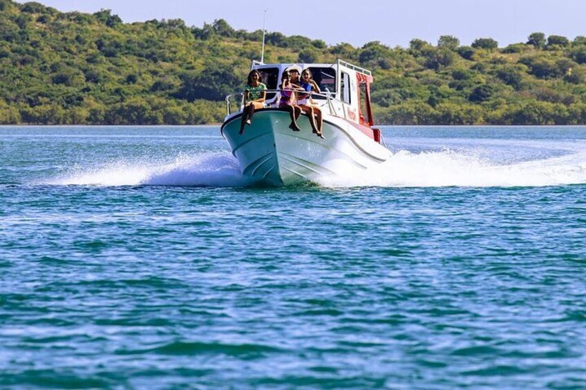 Un bote avanza rápidamente sobre aguas tranquilas, con una orilla boscosa al fondo. 1