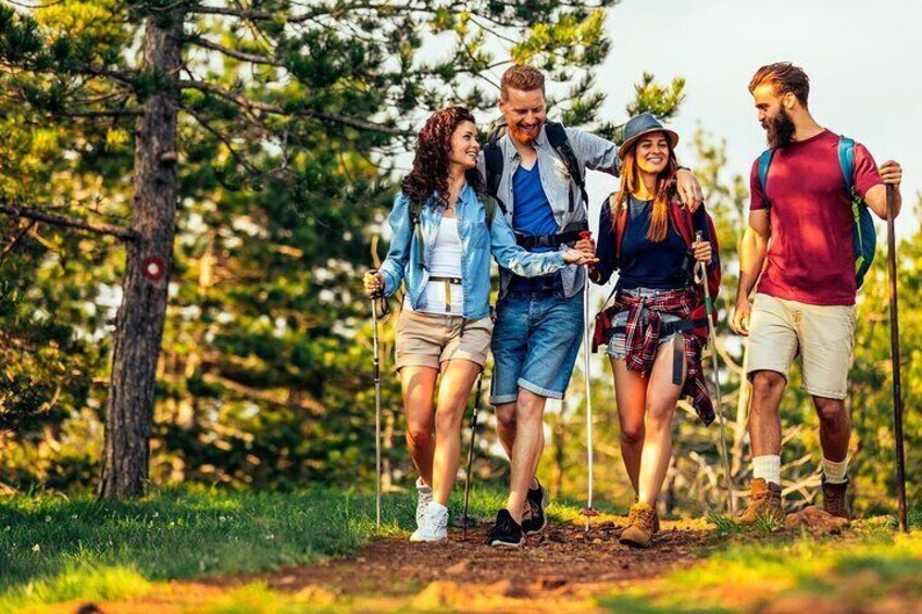 Quatre personnes font de la randonnée dans une zone boisée, parmi les arbres, sur un sentier de terre. 3