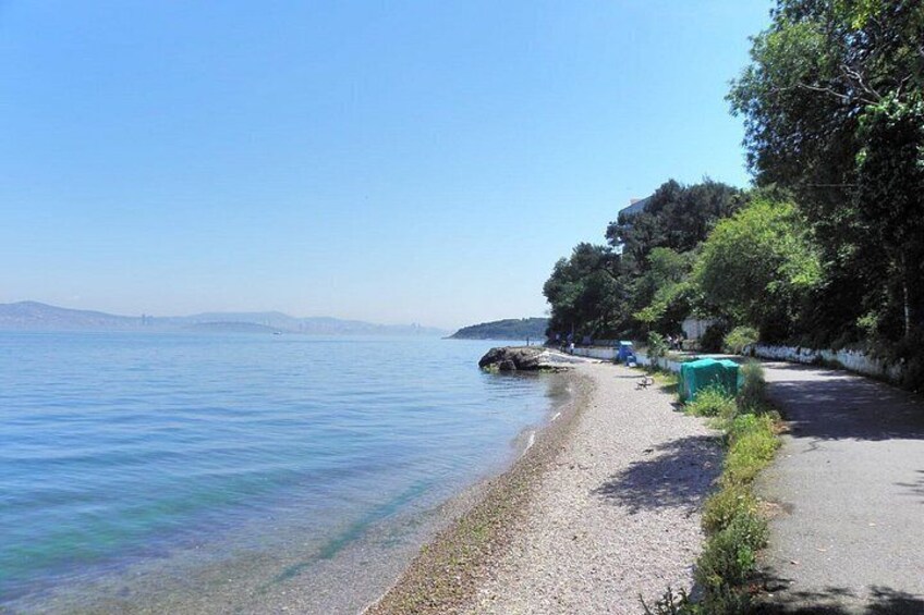 Full Day Princess's Islands Tour from Istanbul 5