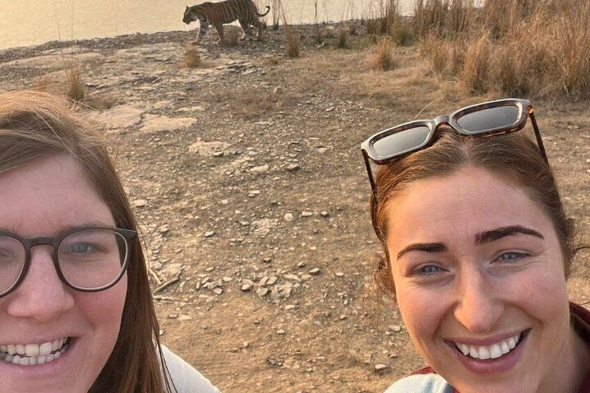 Ranthambore National Park Private Jeep Safari All inclusive 4