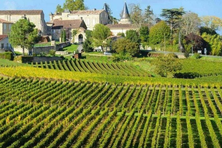Bordeaux to Saint Émilion Wine Full Day Trip with Tastings 4