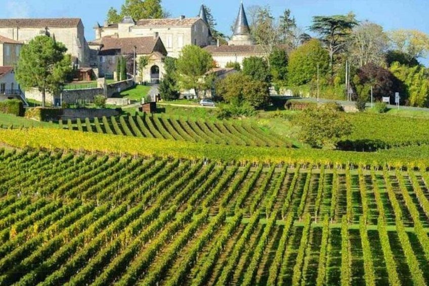 Bordeaux to Saint Émilion Wine Full Day Trip with Tastings 2