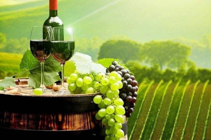 Bordeaux to Saint Émilion Wine Full Day Trip with Tastings 1