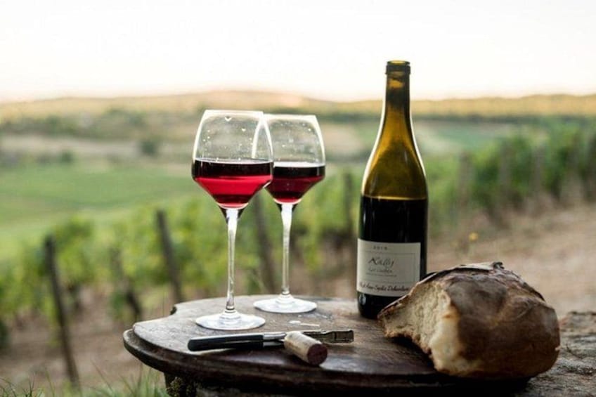 Bordeaux to Saint Émilion Wine Full Day Trip with Tastings 5