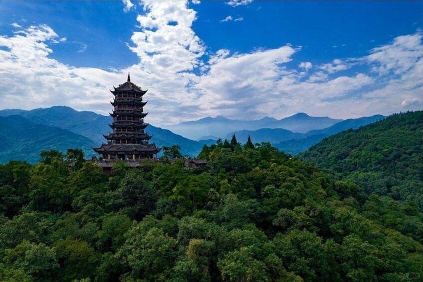 Panda Valley and Dujiangyan Private Tour 2