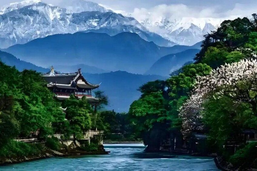 Panda Valley and Dujiangyan Private Tour 5