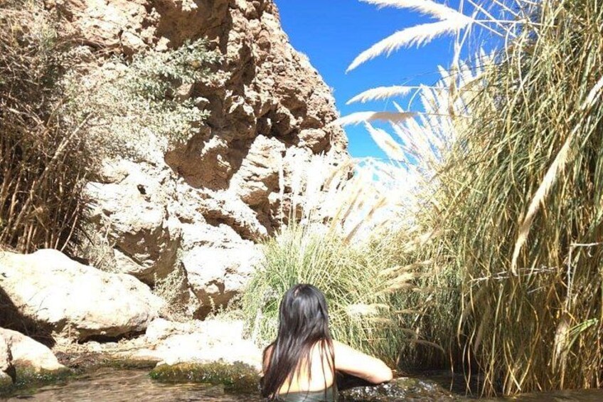 Una persona de pie junto a un arroyo rocoso con pastos altos y un cielo azul despejado. 2