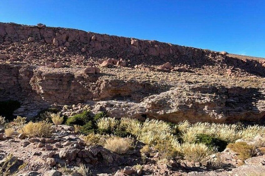 Un paysage désertique rocheux, avec une végétation clairsemée. 3
