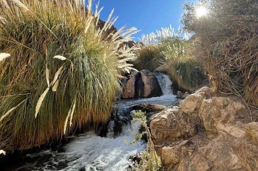Une cascade, des rochers et de hautes herbes. 2