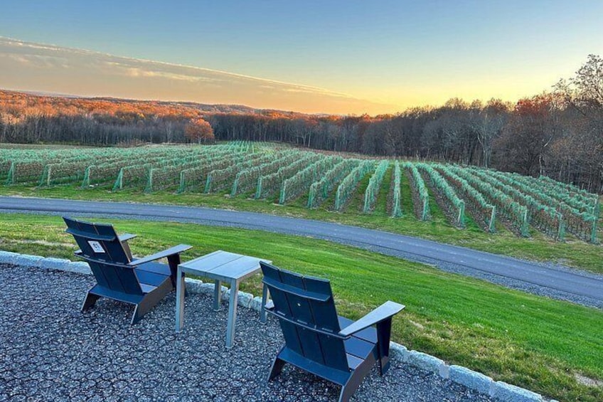 Hudson Valley Wineries- Private Transport- OR brewery/distillery 4