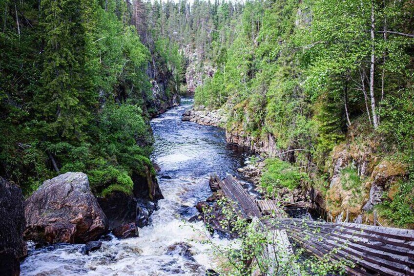 Ein Fluss fließt durch ein bewaldetes Gebiet, mit einer Holzbrücke. 1