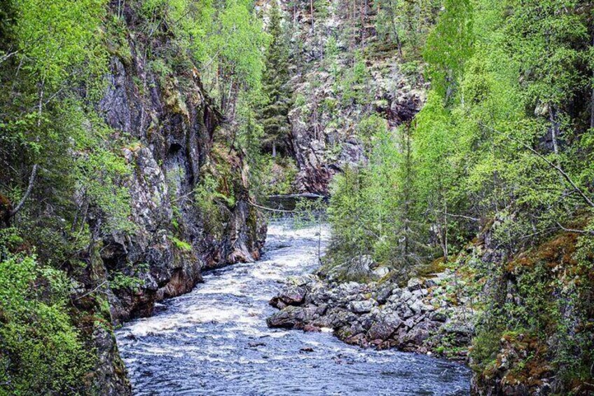 Ein Fluss fließt durch eine bewaldete Schlucht mit felsigen Klippen und dichtem Grünwerk. 5