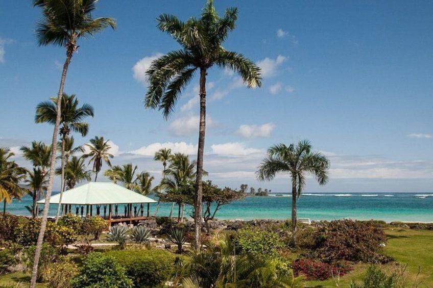 A beach with palm trees, a gazebo, and a clear blue ocean. 5