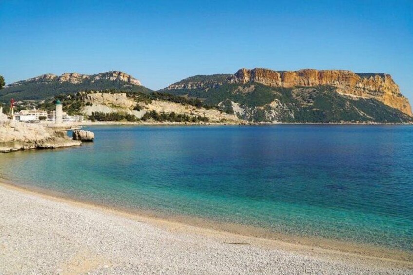 Blackcurrant beach 2