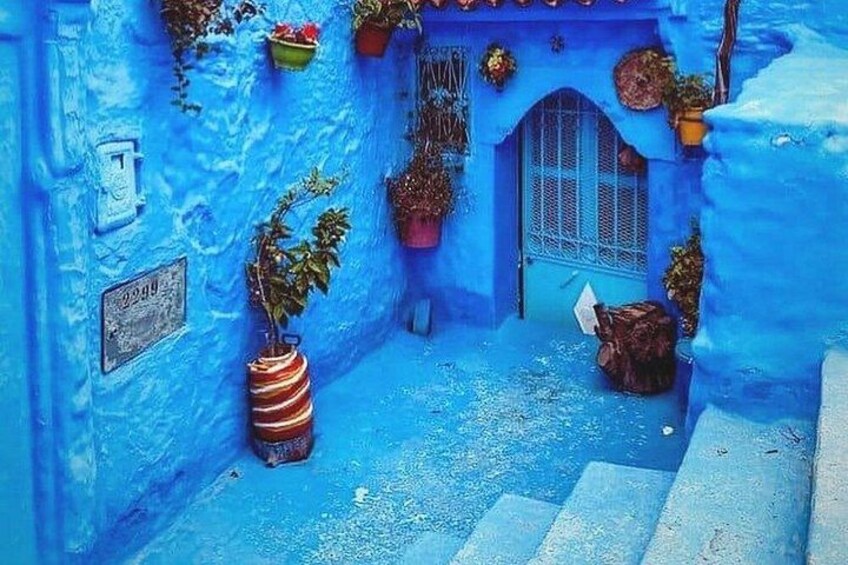 A narrow alleyway with blue-painted walls, a wooden door, and potted plants. 2