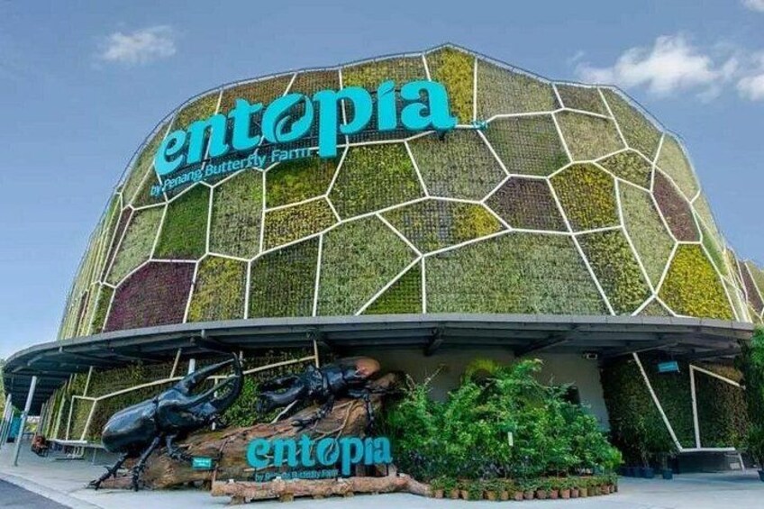 Visit Penang's Entopia, a butterfly farm dedicated to educating visitors on its majestic and voiceless inhabitants 1