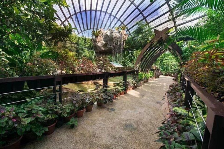 Visit Penang's Entopia, a butterfly farm dedicated to educating visitors on its majestic and voiceless inhabitants 2