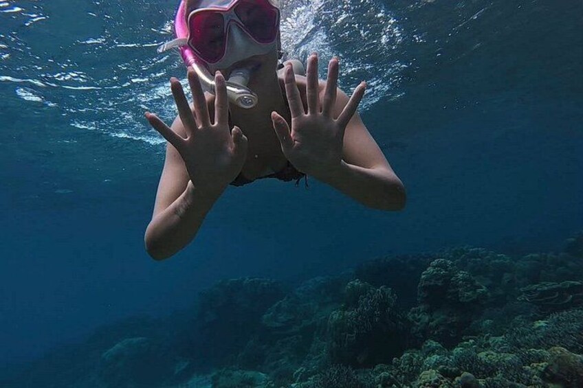 A person underwater with a snorkel and mask, surrounded by underwater scenery. 2