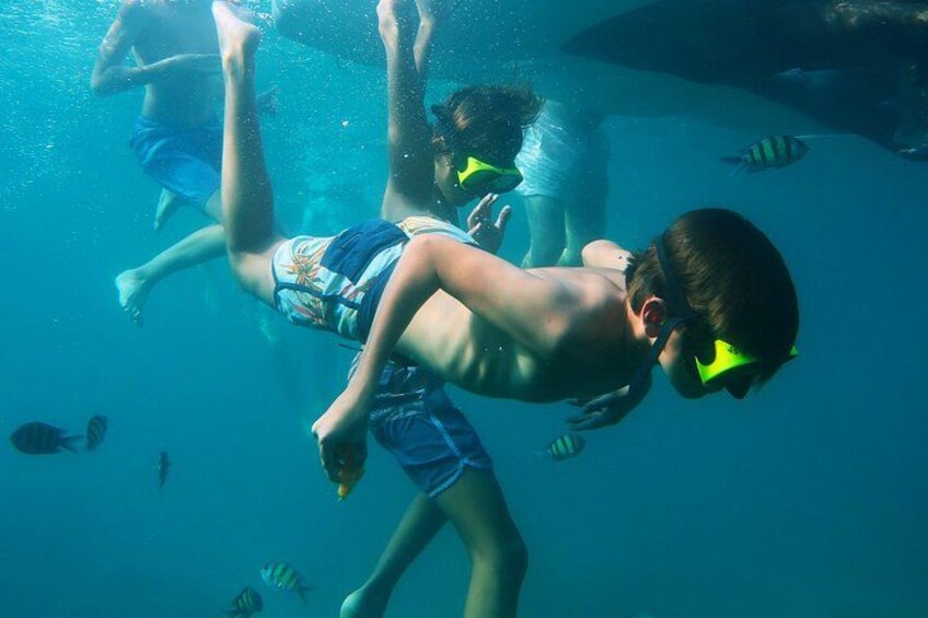 People snorkeling underwater. 5