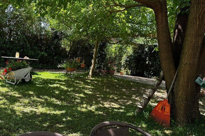 A garden with a tree, a wheelbarrow, and a bench. 2