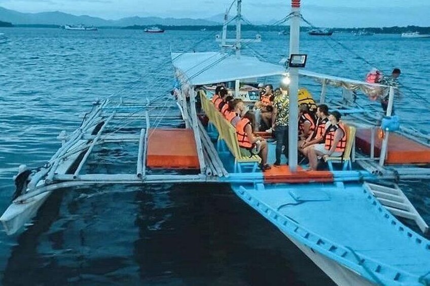 Puerto Princesa Firefly Watching Bay Cruise with Dinner 2