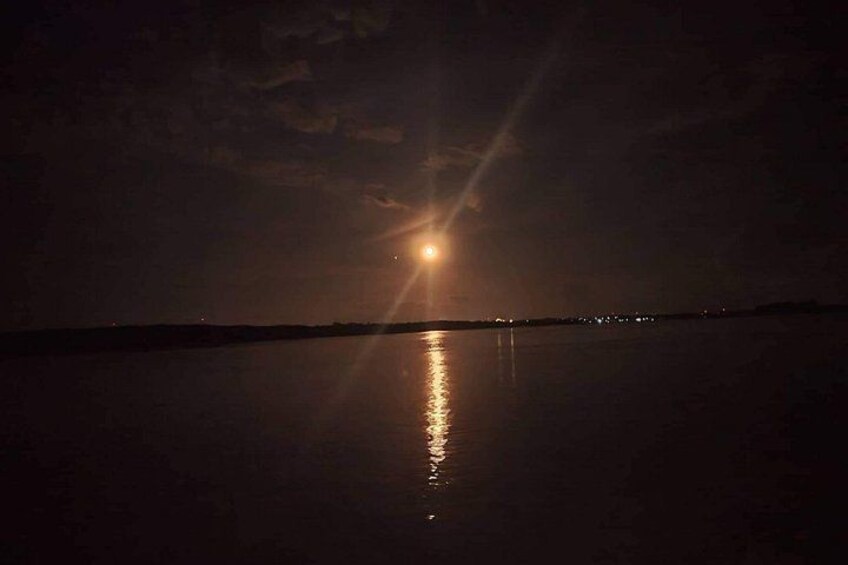 Puerto Princesa Firefly Watching Bay Cruise with Dinner 2