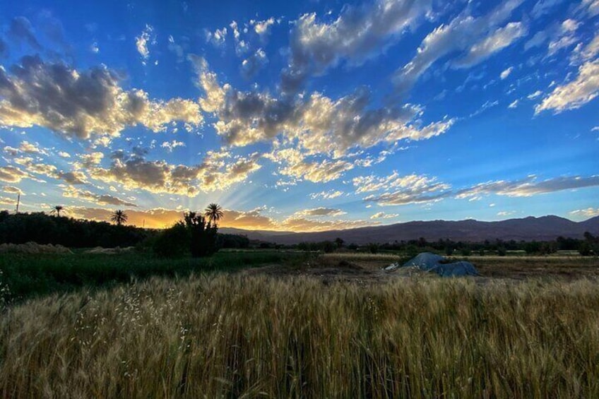 Ein Sonnenuntergang über einem Feld mit Zelt und Palmen. 1