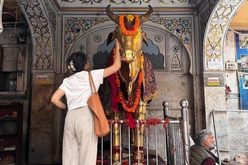 Eine Person berührt eine goldene Statue mit Kuhkopf, geschmückt mit Girlanden, in einem Tempel mit aufwendigen Wänden und einem Metallgeländer. 5
