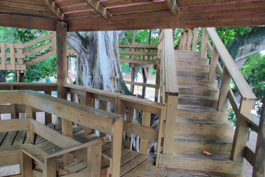 Aguadilla 6 Hour Local Tour 3