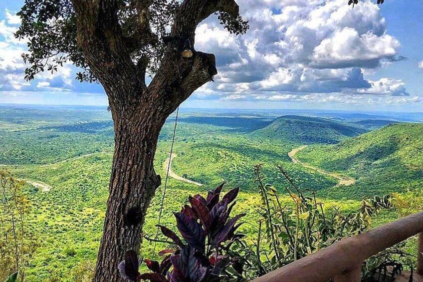 Shimba Hills National Reserve Day Tour with Sheldrick Falls 1