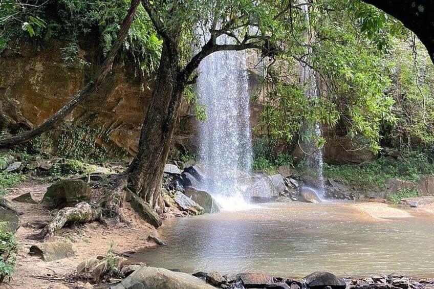 Una cascada que se precipita en una poza rodeada de rocas y árboles. 5