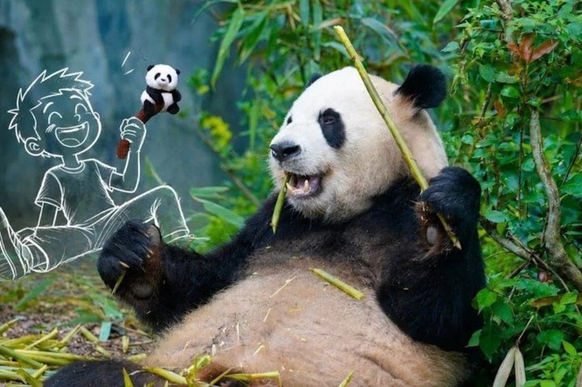 En panda holder bambus, omgivet af grønt. 1