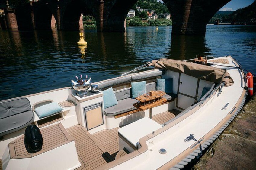 Boat trip Heidelberg elegant 1