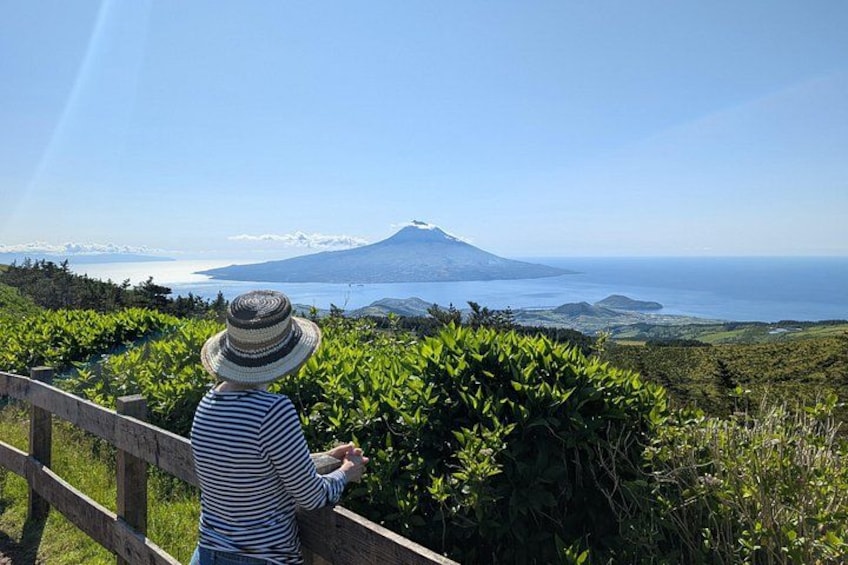 Customizable Full Day Private Tour of Faial 1