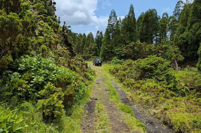 Customizable Full Day Private Tour of Faial 4