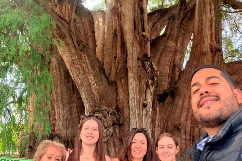 Private Oaxaca Day Tour: Tule, Teotitlan, Mitla & Mezcal 3